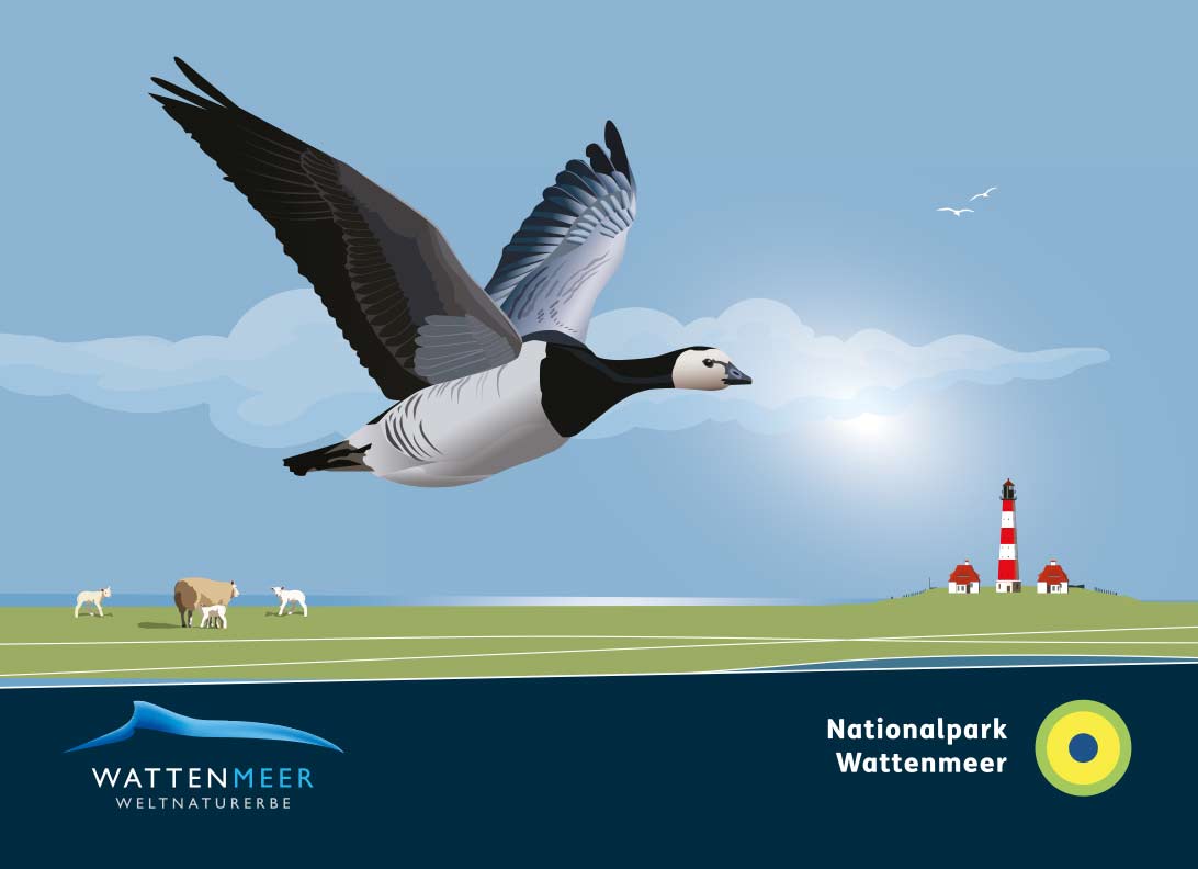 WEISSWANGENGANS_WESTERHEVER__65x90-mm